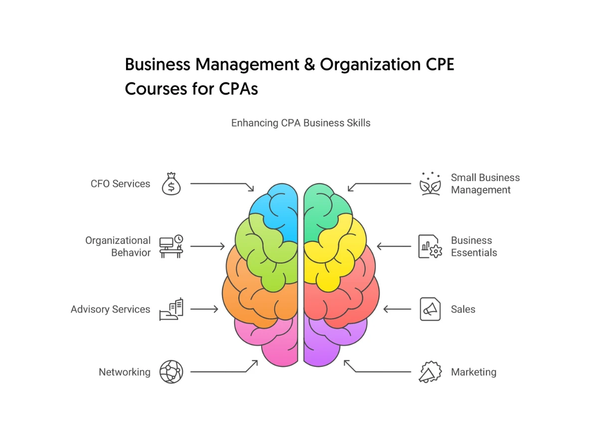 Management CPE